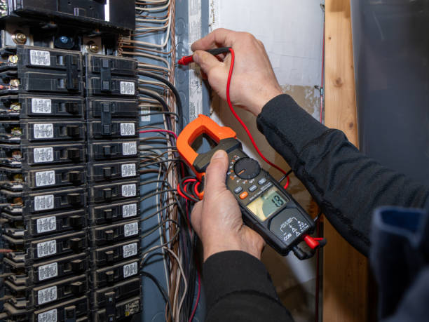 Best Electric Panel Repair  in Lake Shore, MN
